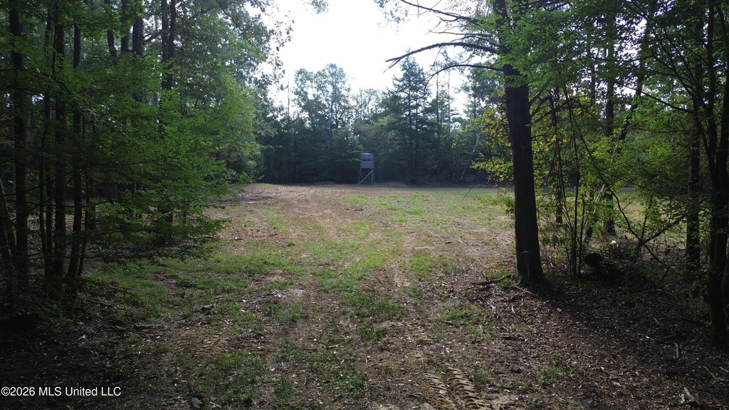 Picture 17