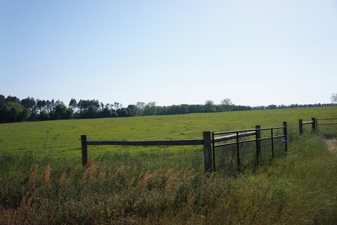 Cleared Acres in Laurel Hill