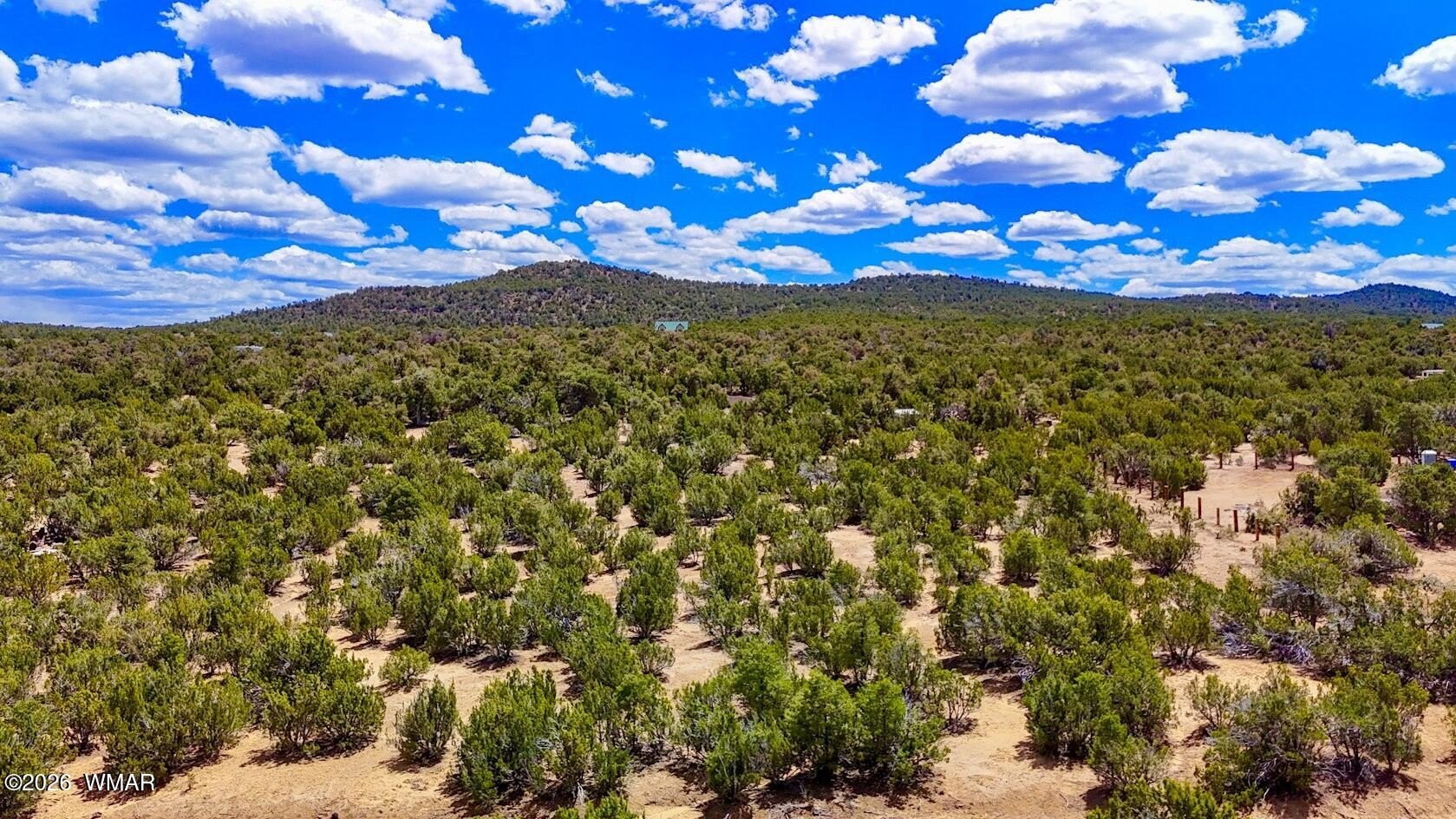 Vernon, AZ Treed Lot