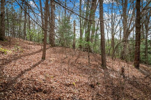 Wolf Creek Estates Vacant Lot