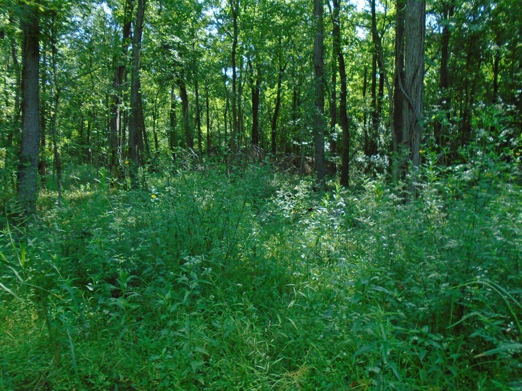Picture 12