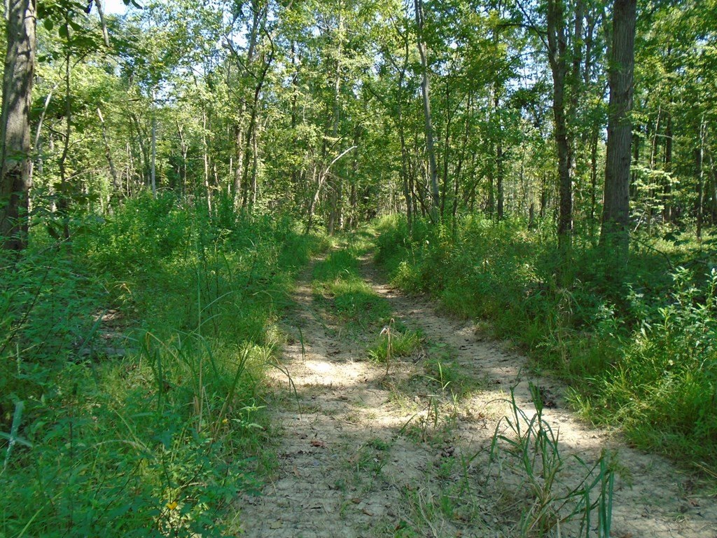 Picture 9