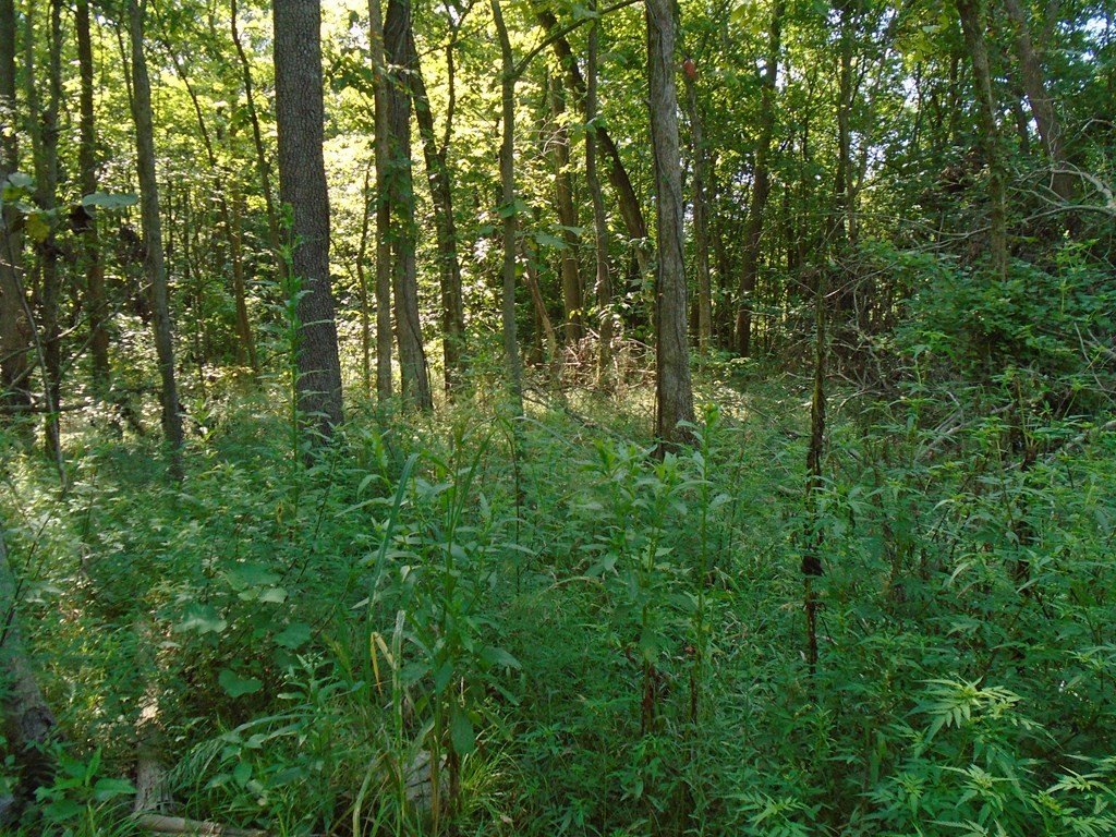 Picture 8