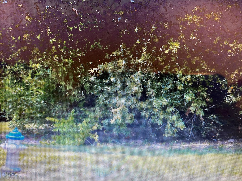 Picture 4
