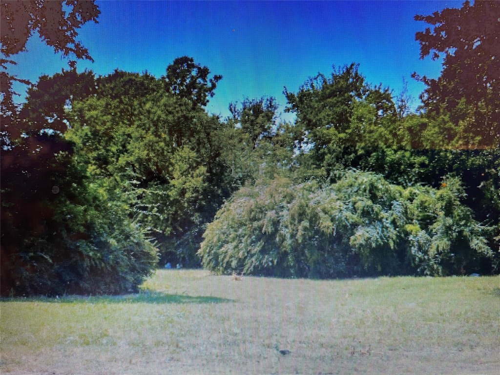 Picture 3
