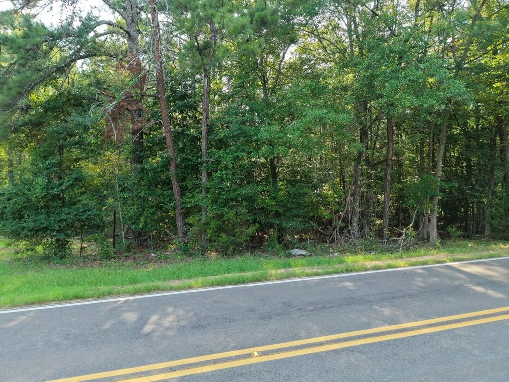 Picture 11