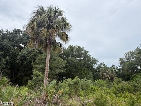 Half Acre Lehigh Acres Land
