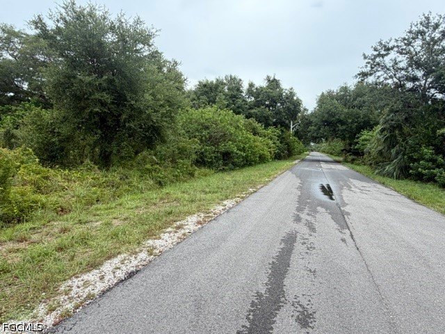 Picture 3