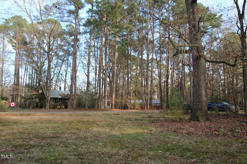 Picture 21