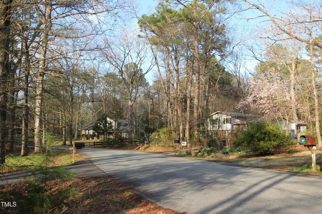 Picture 25