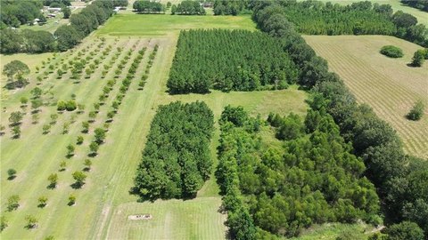 Land, Hessmer, LA