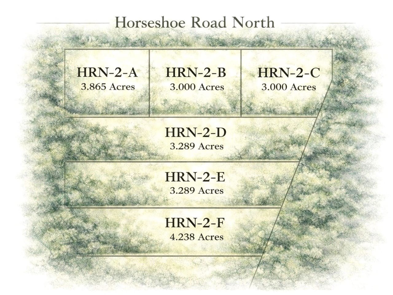 Spacious 3-Acre Vacant Land