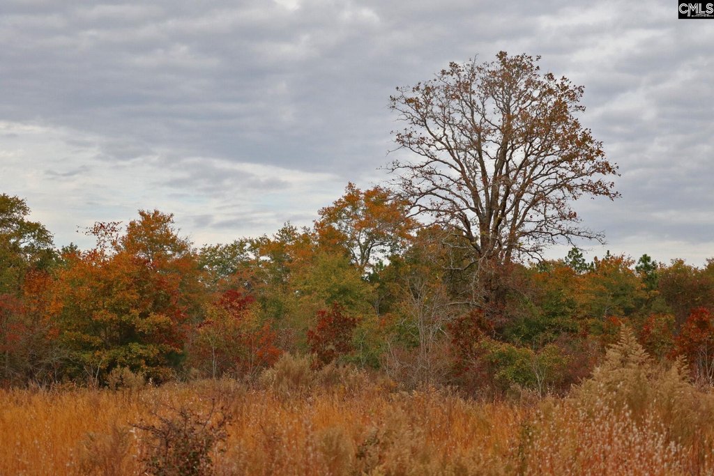 Picture 32