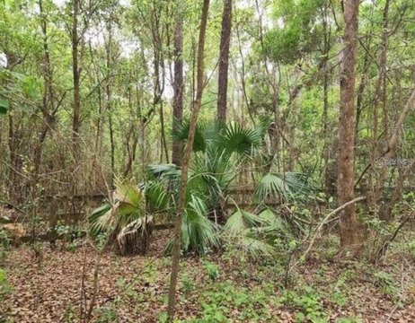 Land, WEIRSDALE, FL
