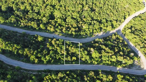 Wooded Lot in Gated Subdivision