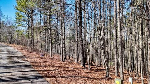 Wooded Home Site with Utilities
