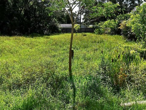 LAND - NOKOMIS, FL
