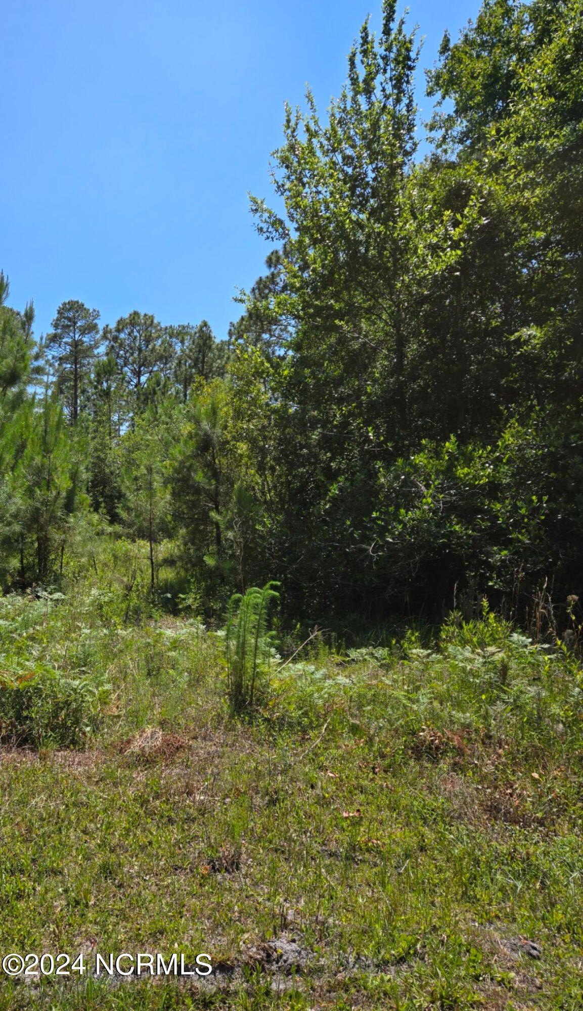 Secluded Wooded Lot in Boiling Spring Lakes