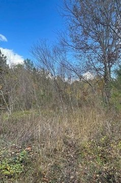 Residential Lot in Growing Area