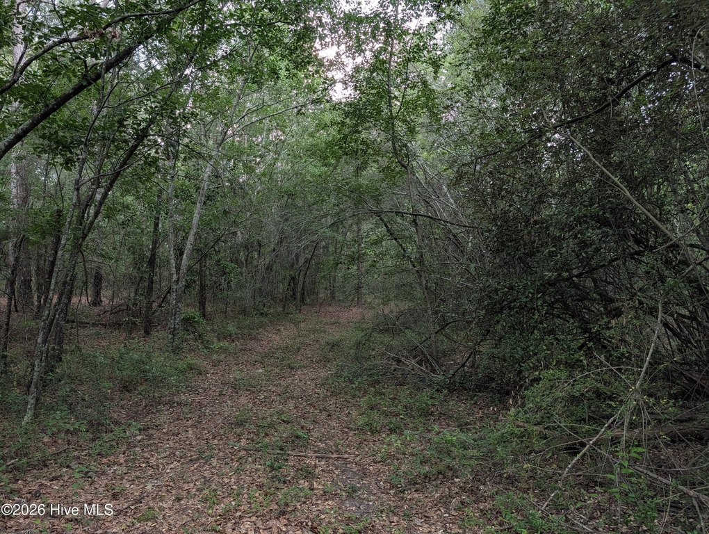 Picture 4