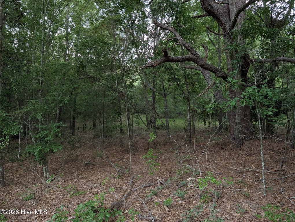 Picture 7