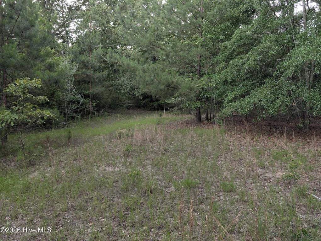 Picture 14