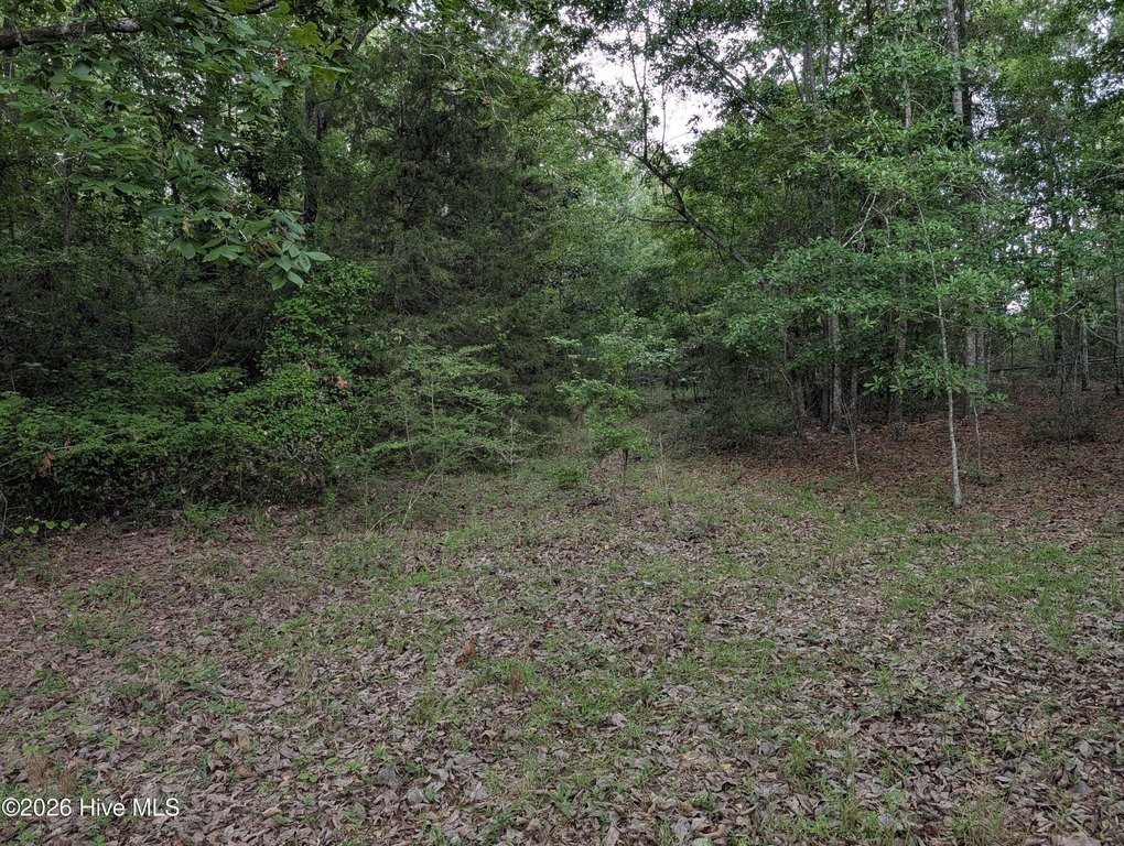 Picture 12