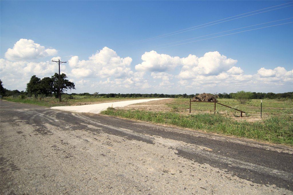 Picture 11