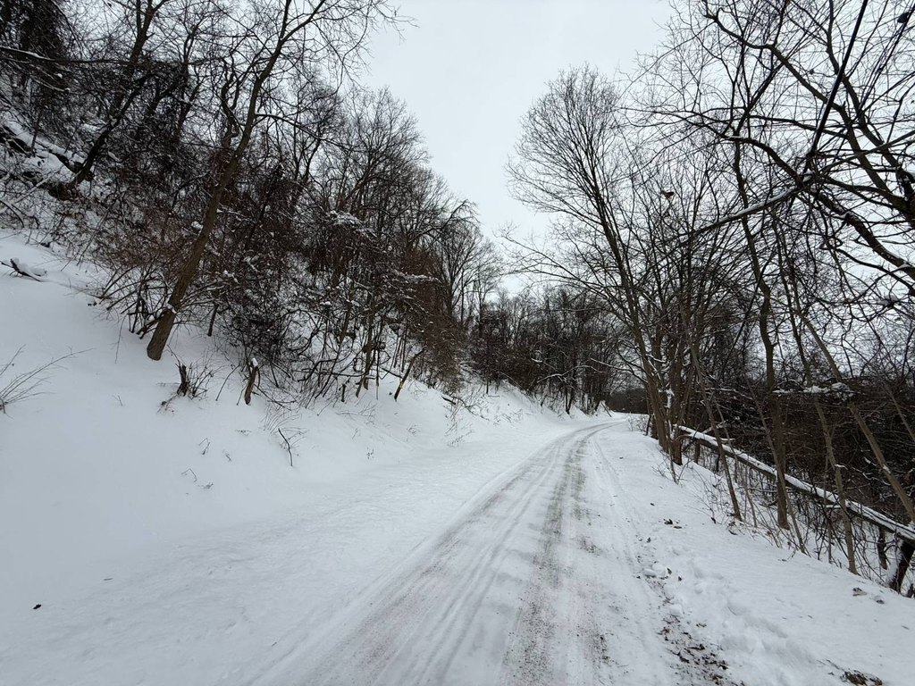 Picture 14