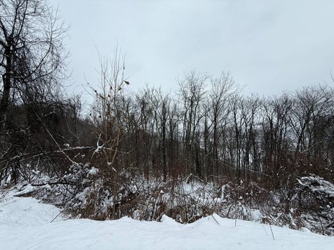 Residential Land with Two Build Sites
