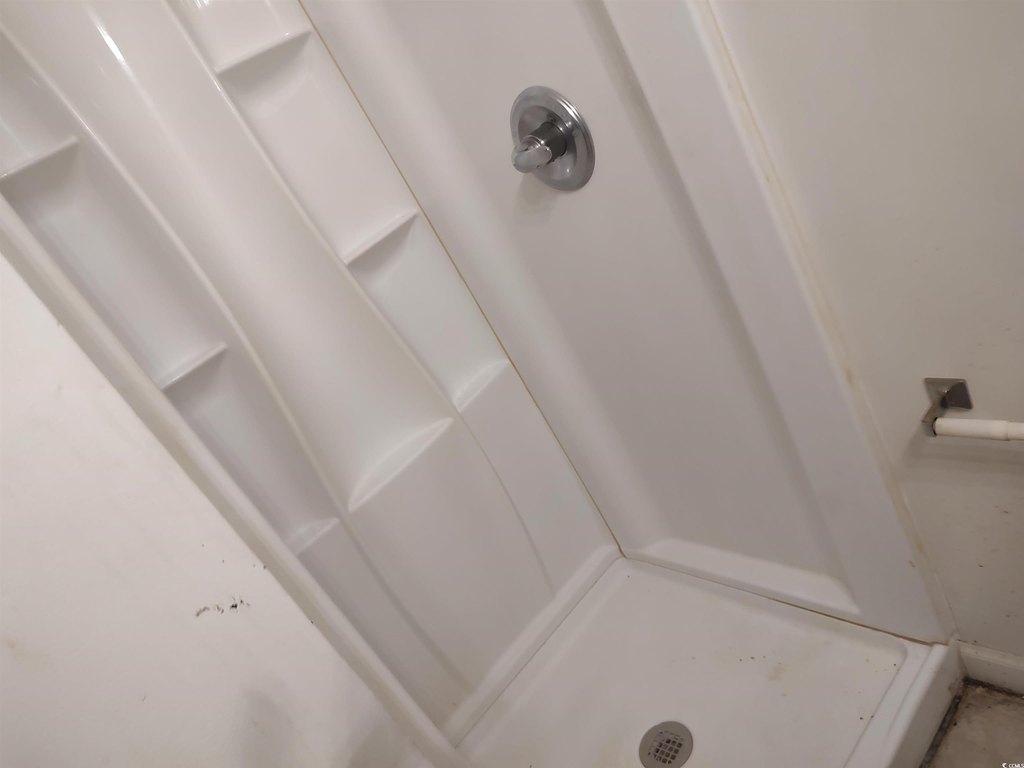 Picture 29