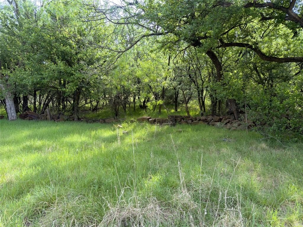 Picture 9
