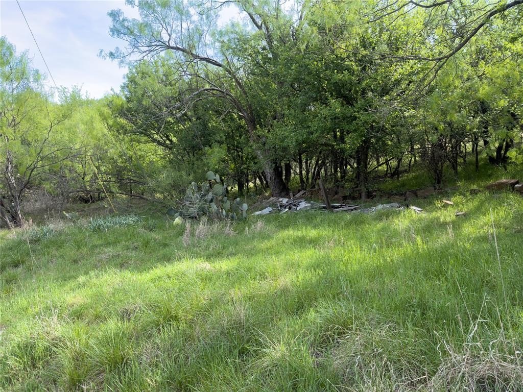 Picture 11