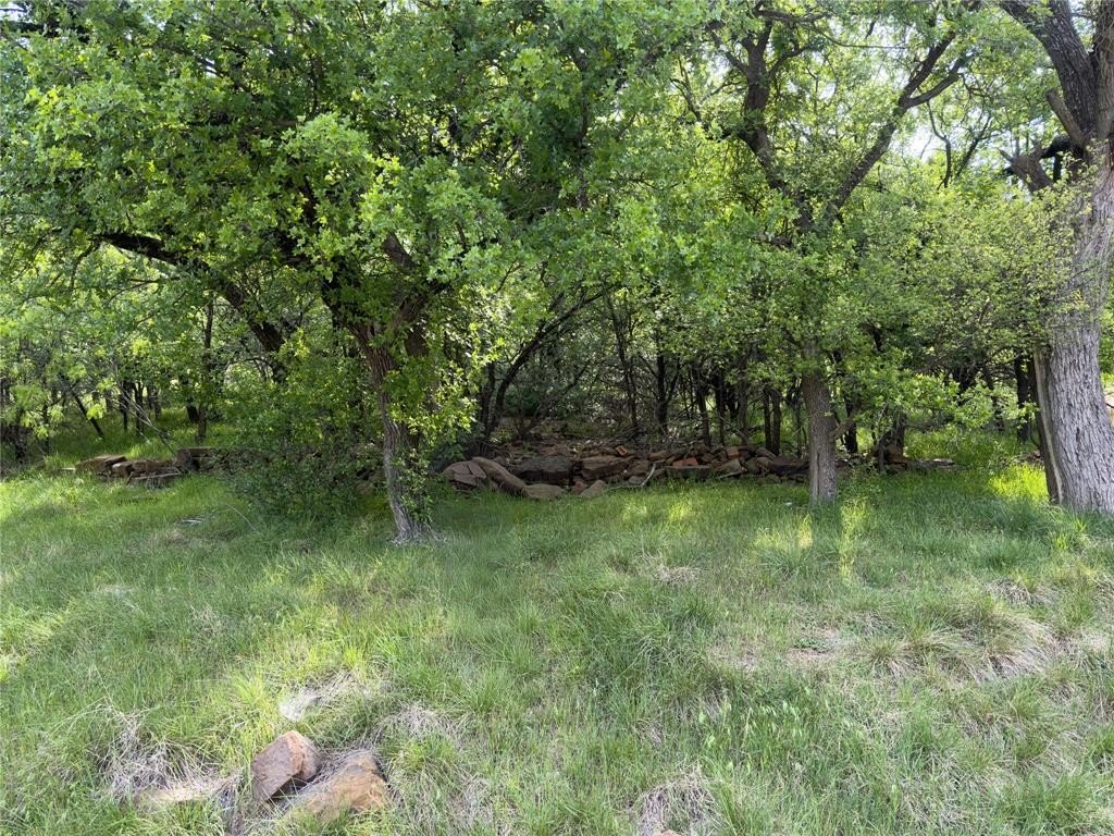 Picture 7