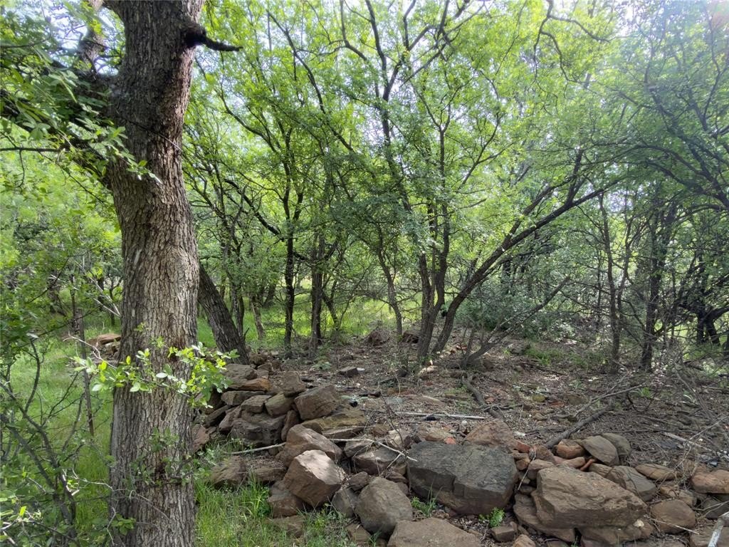 Picture 3