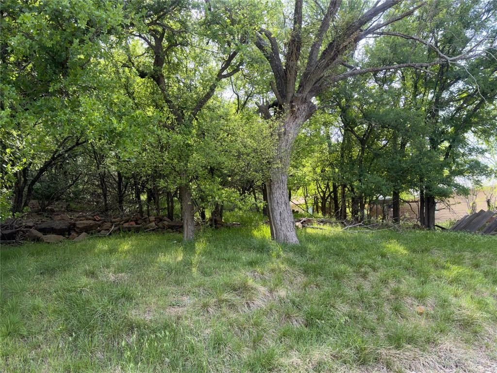 Picture 8