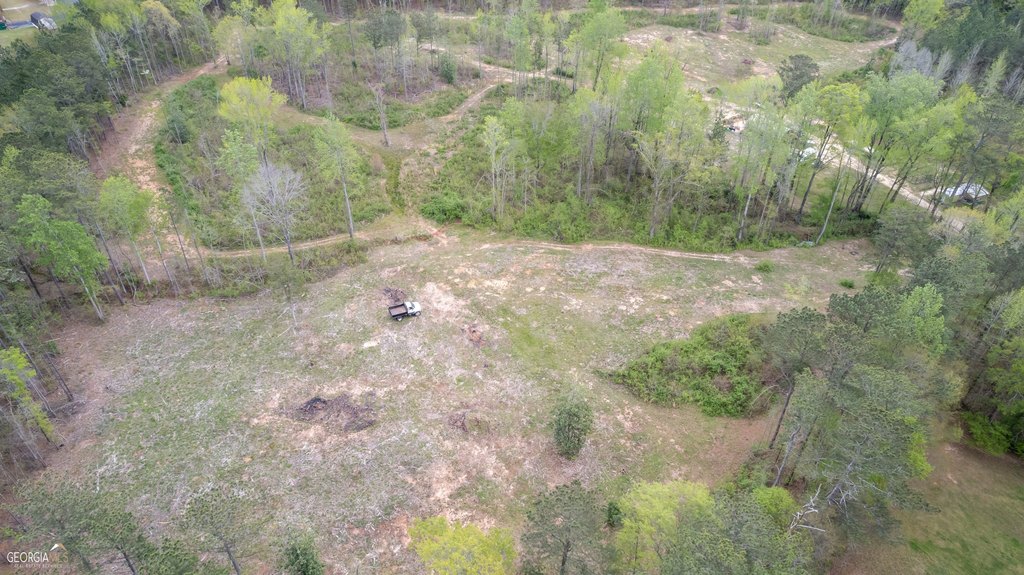 Picture 3
