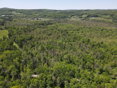 Fly Creek Vacant Land Available