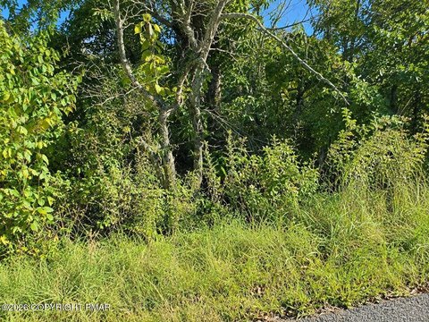 Land, East Stroudsburg, PA