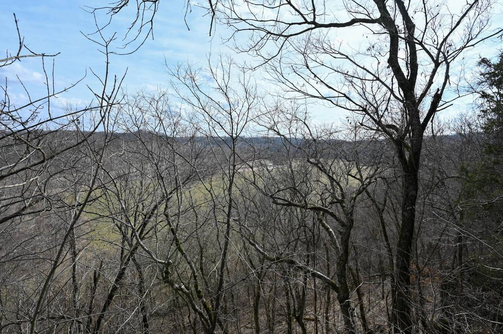 Picture 6