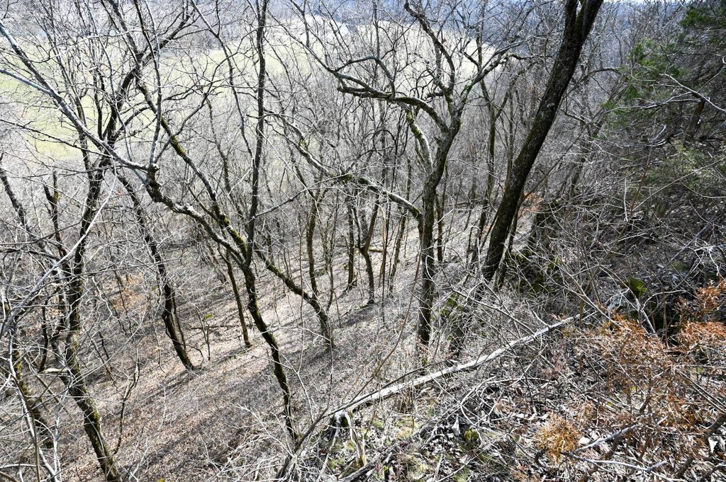 Picture 7