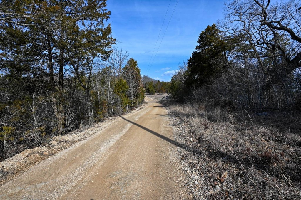 Picture 9