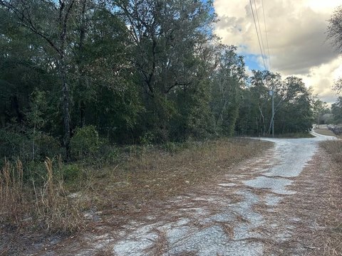 Bronson, FL Wooded Land