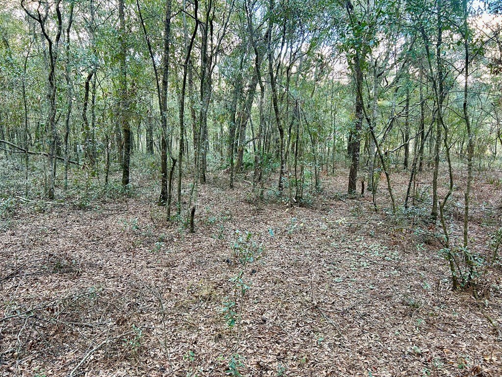 Picture 6