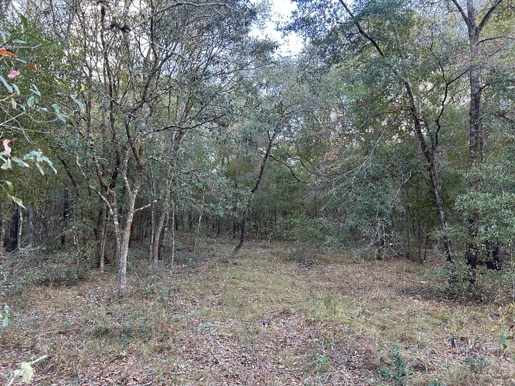 Picture 4