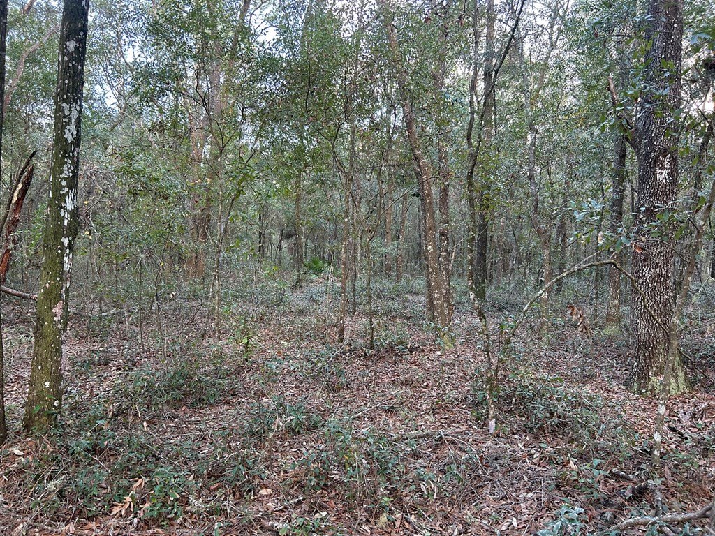 Picture 10