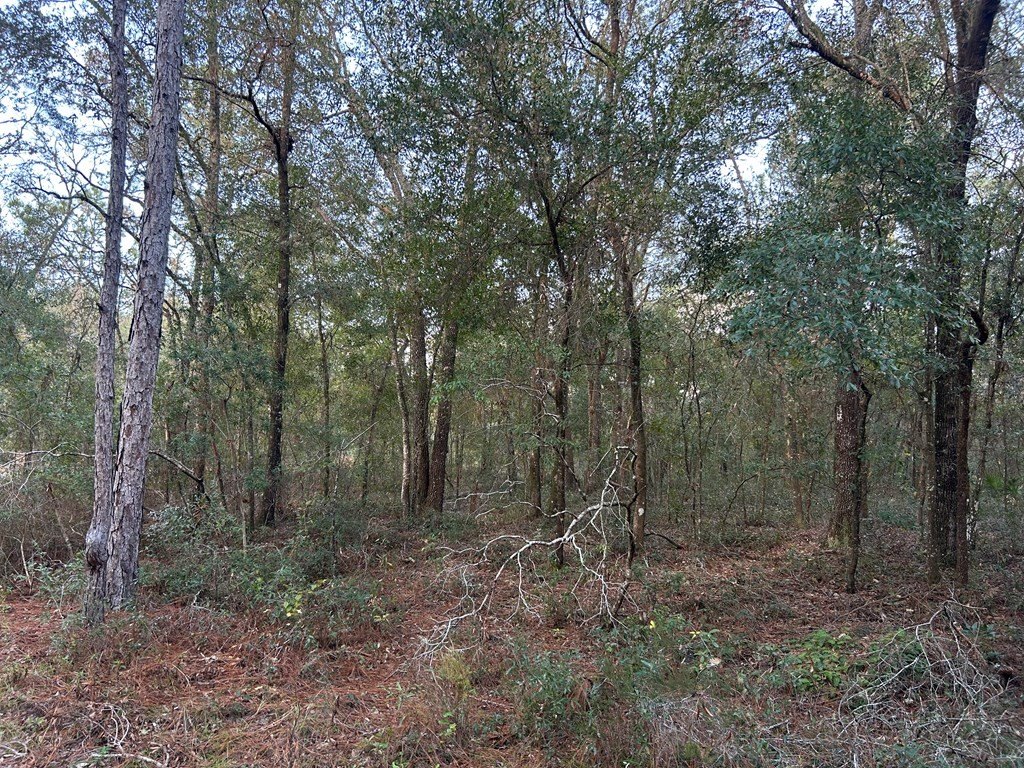 Picture 9