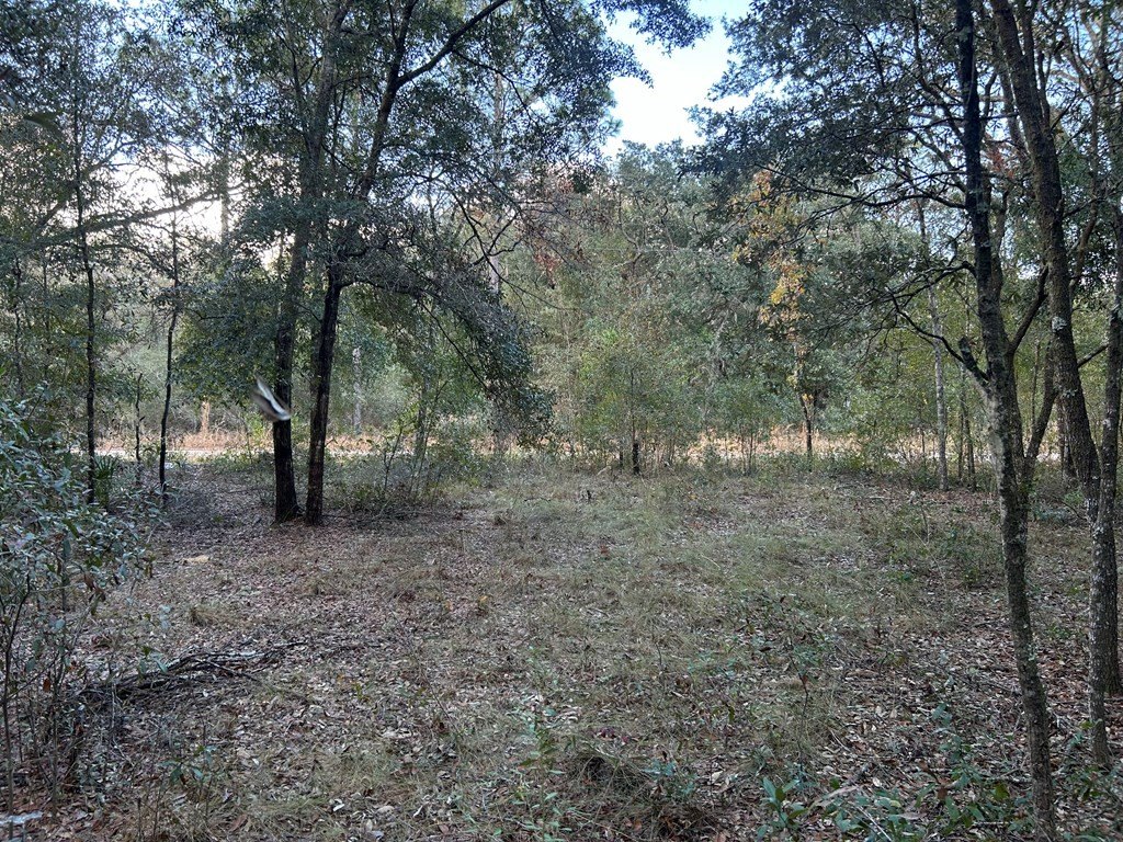 Picture 5