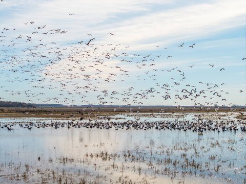 328 Acres Row Crop Farm