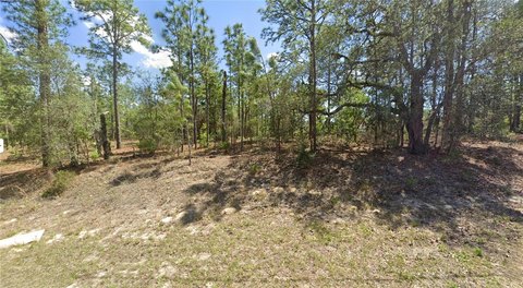 LAND - CITRUS SPRINGS, FL